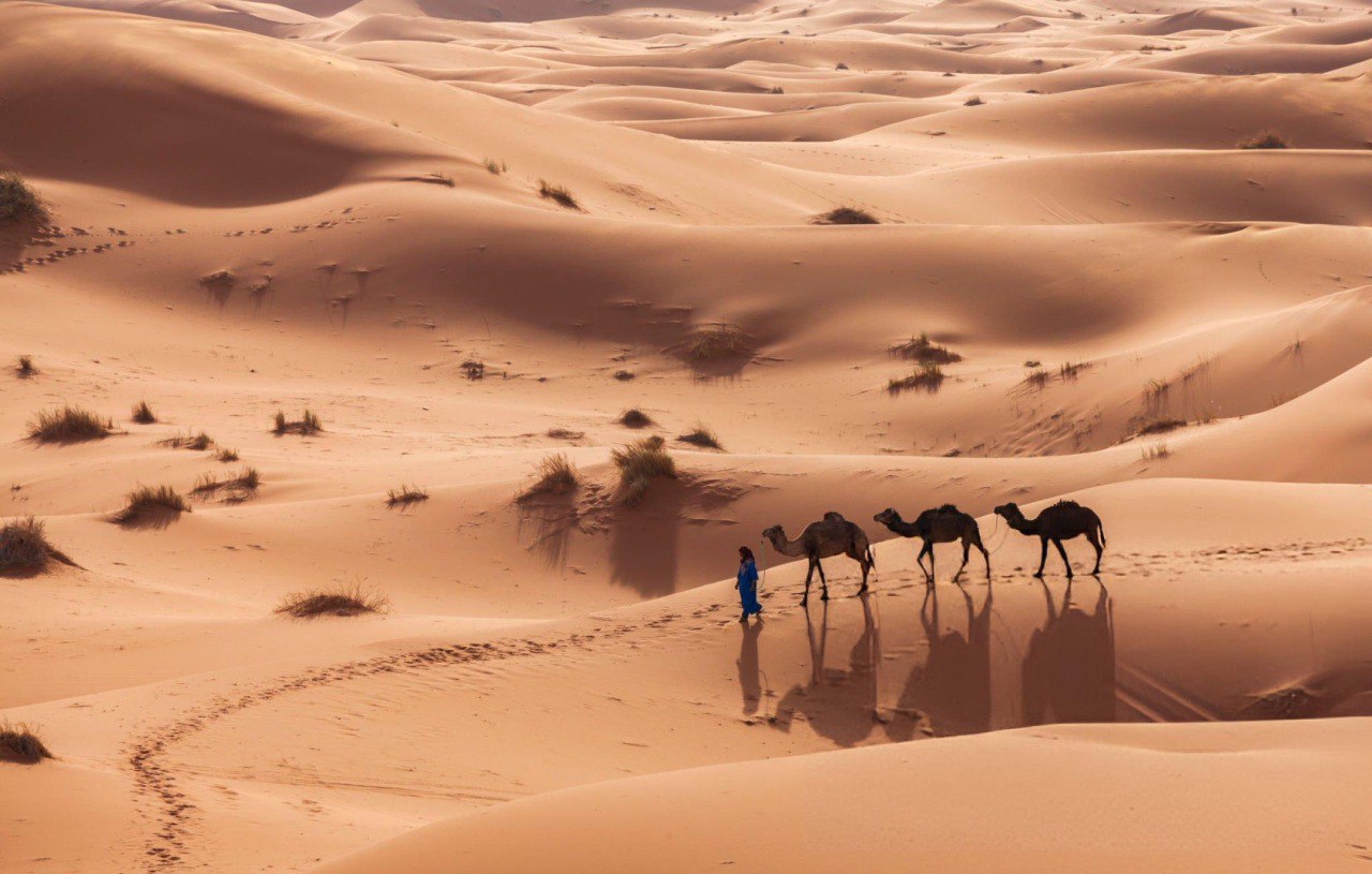Sahara Desert