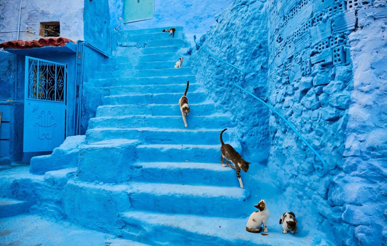 Chefchaouen, Blue city